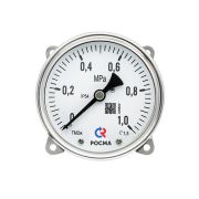 МАНОВАКУУММЕТР железнодорожный 100мм, Тип - ТМВж-520Р, радиальное присоединение. Задний фланец. -0,1-0,3MPa. Резьба М20х1,5. Класс точности 1,5. Белая шкала. Напряжение питания подсветки 24В DC.